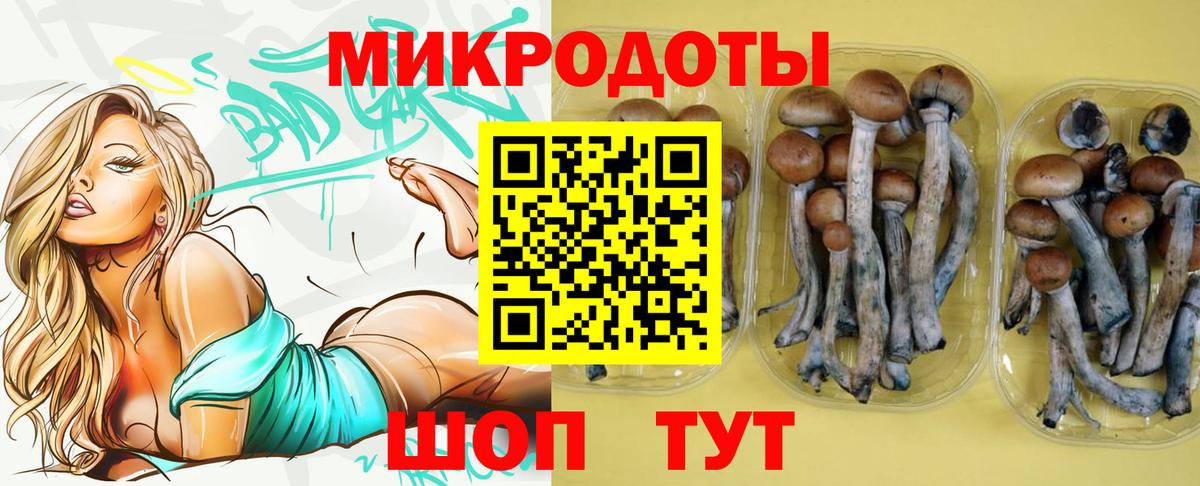 Галлюциногенные грибы прущие грибы Кстово