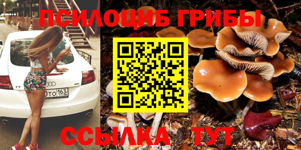 Кстово  Галлюциногенные грибы прущие грибы  Вход с VPN 